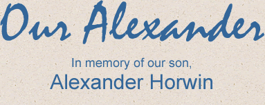 Our Alexander. In memory of our son, Alexander Horwin
